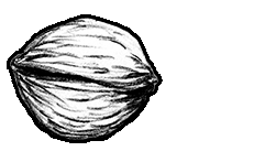 {w}oreshack.cz // Petr Nuska // #Music // Petr Vořešák, singer-song writer