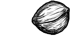 {w}oreshack.cz // Petr Nuska // #Music // Petr Vořešák, singer-song writer