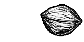 {w}oreshack.cz // Petr Nuska // #Music // Petr Vořešák, singer-song writer