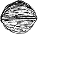 {w}oreshack.cz // Petr Nuska // #Anthropology #Visual #Music