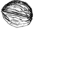 {w}oreshack.cz // Petr Nuska // #Visual